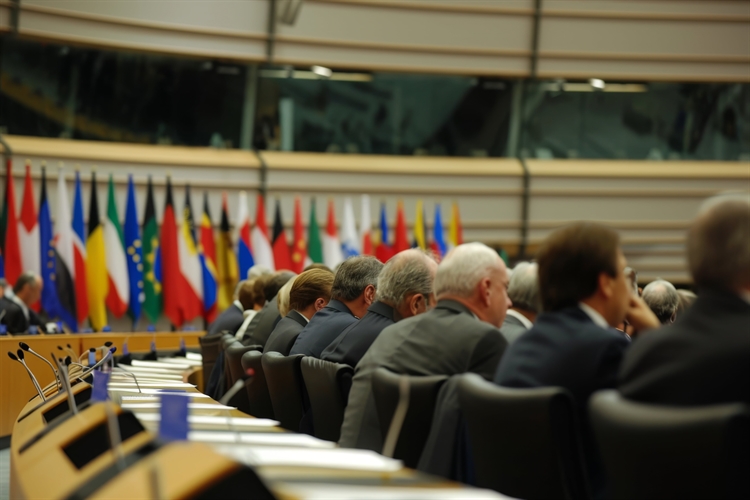 The European Parliament – What Happens Next?